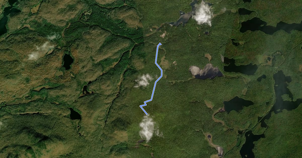 Маршрут Floodwood Mountain Trail на спутниковом снимке