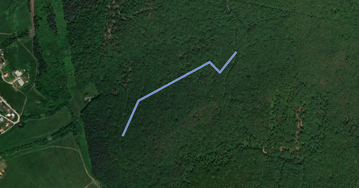 Маршрут Flow Trail на спутниковом снимке