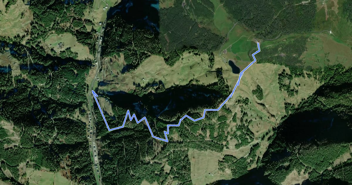Маршрут Flow Trail Hochkönig на спутниковом снимке