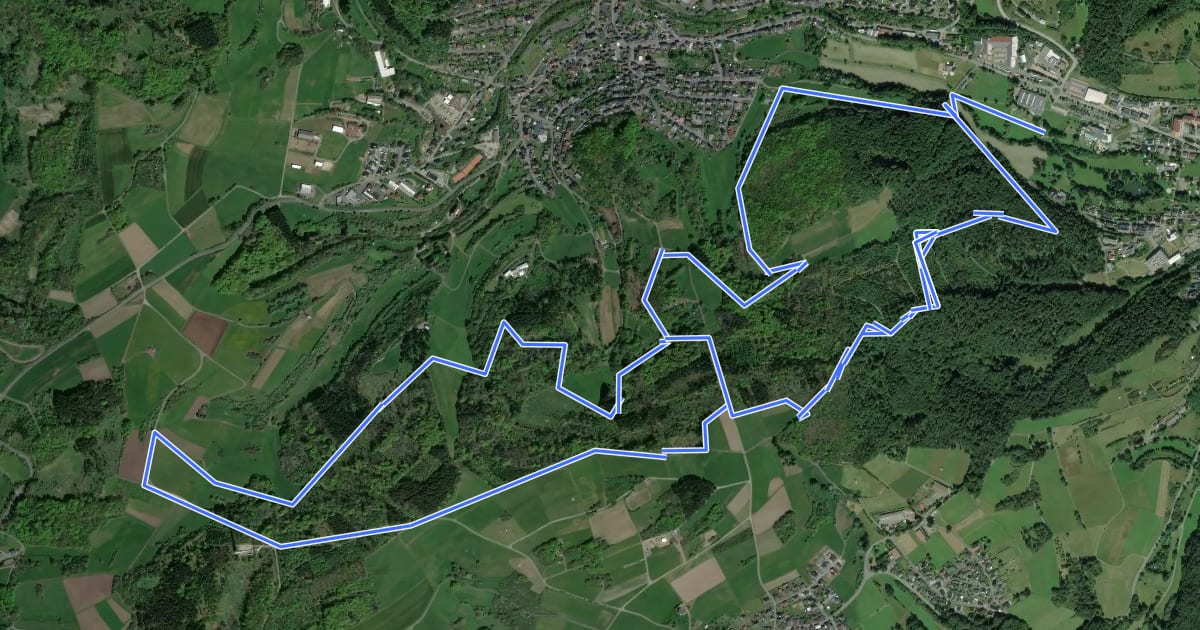 Маршрут Flowtrail Bad Endbach Rundkurs на спутниковом снимке