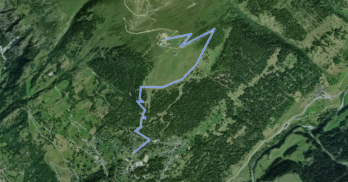 Маршрут Flowtrail Forest Bump на спутниковом снимке