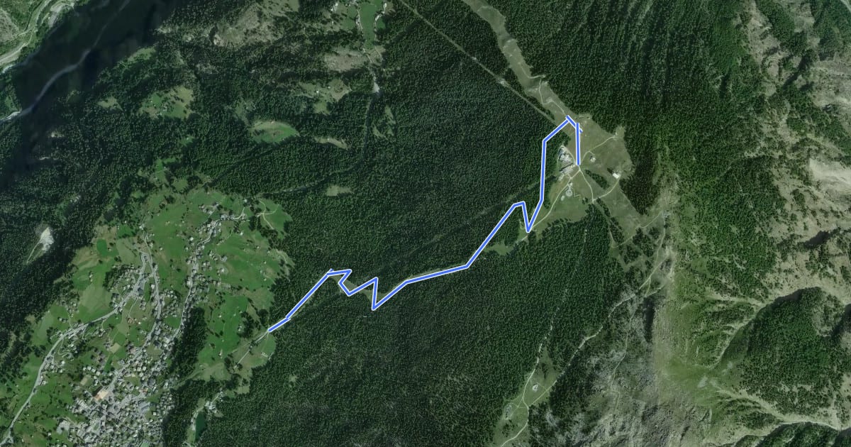Маршрут Flowtrail Grächen на спутниковом снимке