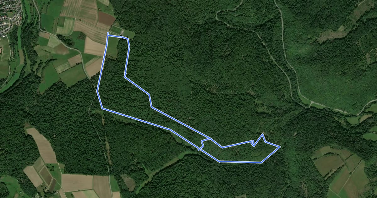 Маршрут Flowtrail Heidenrod - Der ultimative Trail im Taunus на спутниковом снимке
