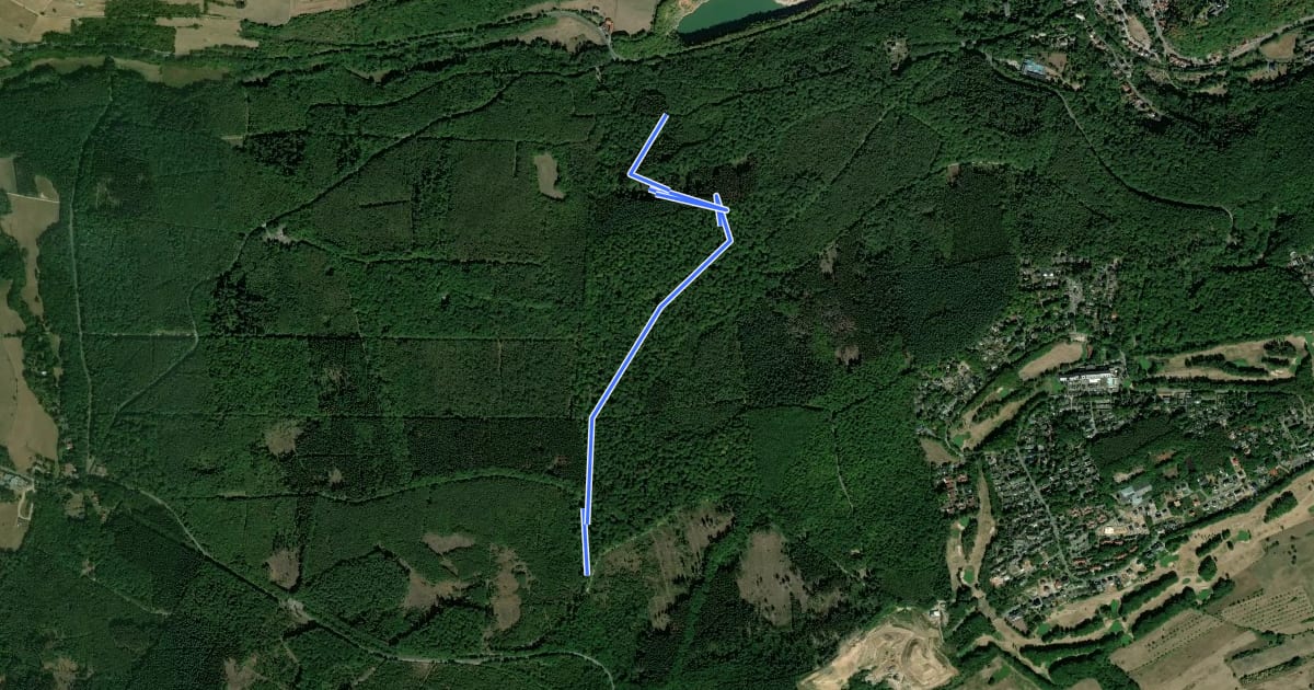 Маршрут Flowtrail Stromberg - Wild Hog Trail на спутниковом снимке