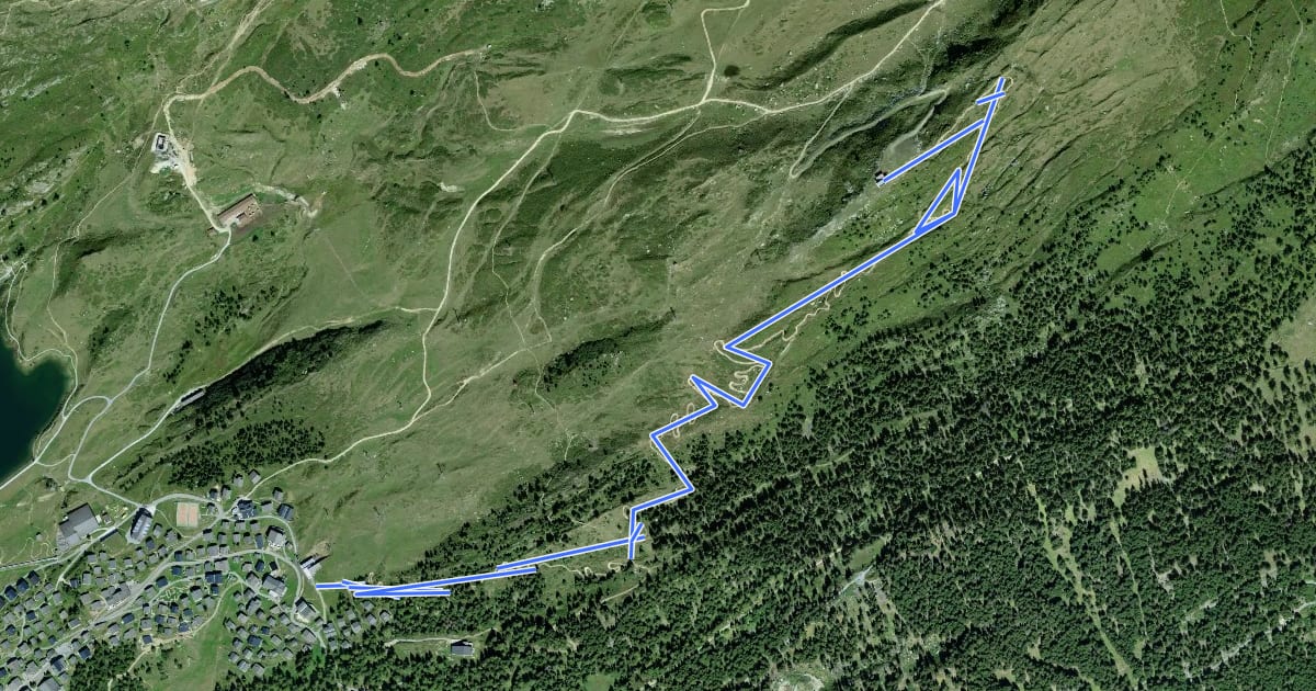 Маршрут Flowtrail Wurzenbord на спутниковом снимке