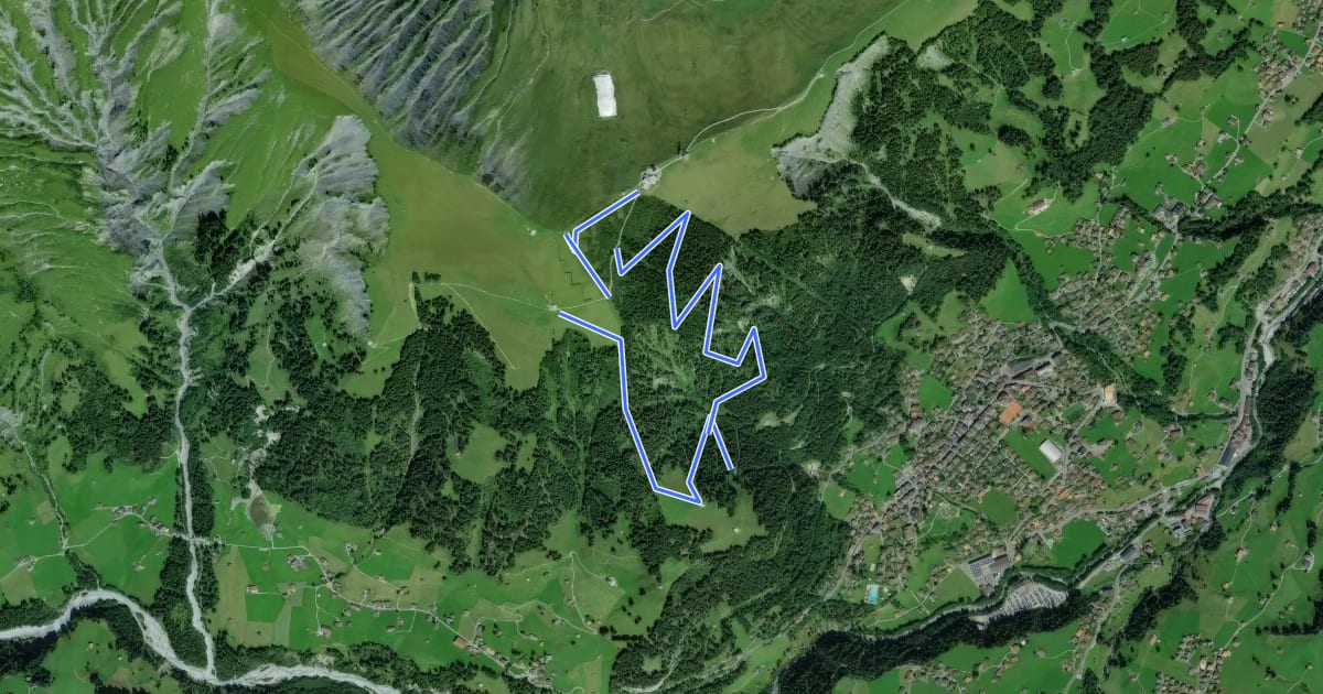 Маршрут Flueweid - Schwandfeldspitze на спутниковом снимке