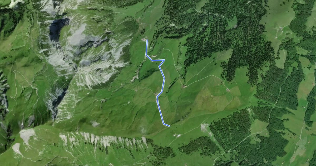 Маршрут Fluonalp - Dundelegg на спутниковом снимке