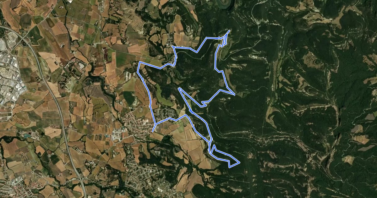 Маршрут Folgueroles - Casol de Puigcastellet - Pla de Savassona на спутниковом снимке
