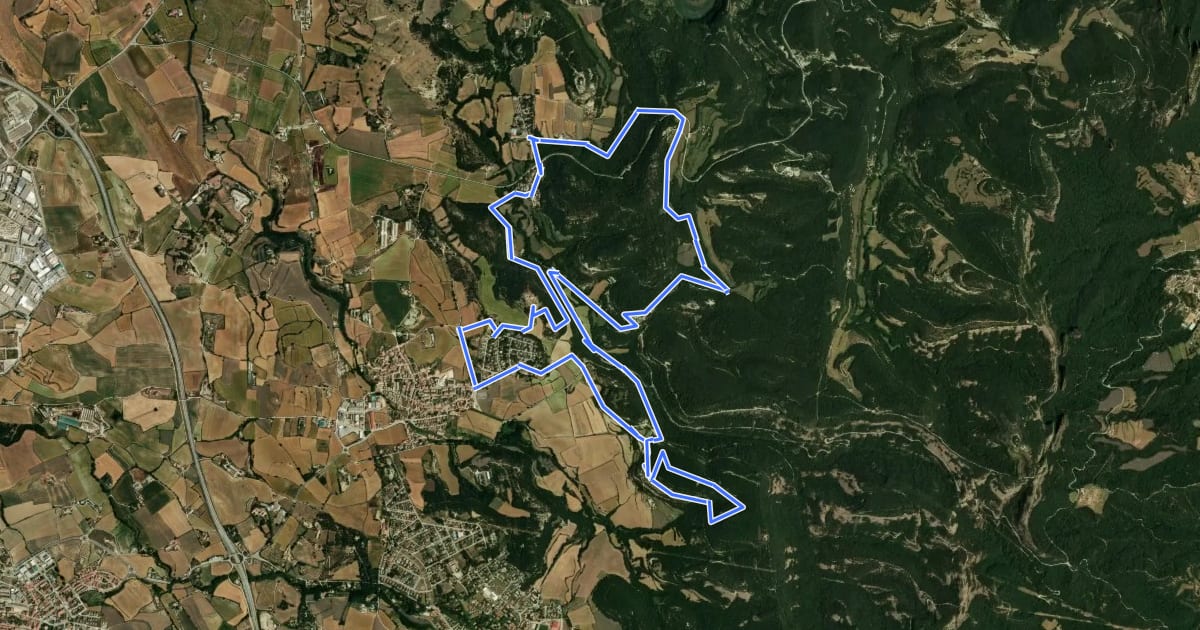 Маршрут Folgueroles - Casol de Puigcastellet - Sant Pere de Savassona - La Damunt - Folgueroles на спутниковом снимке