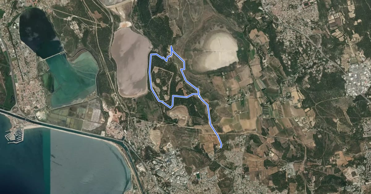Маршрут Forêt de Castillon Etangs de Pourra et d’Engrenier на спутниковом снимке