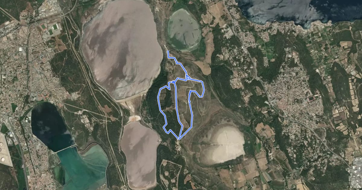 Маршрут Forêt de Castillon Étang de Saint-Blaise на спутниковом снимке