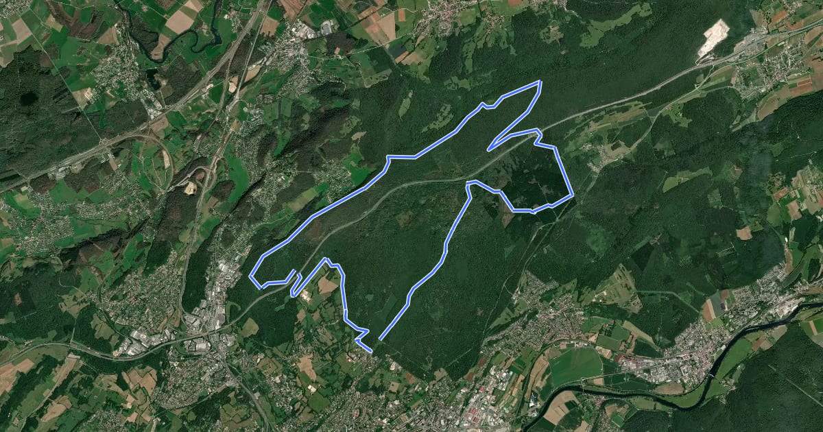 Маршрут Forêt de Chailluz на спутниковом снимке