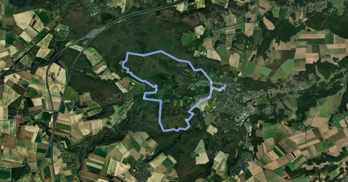 Маршрут Forêt de Dourdan на спутниковом снимке