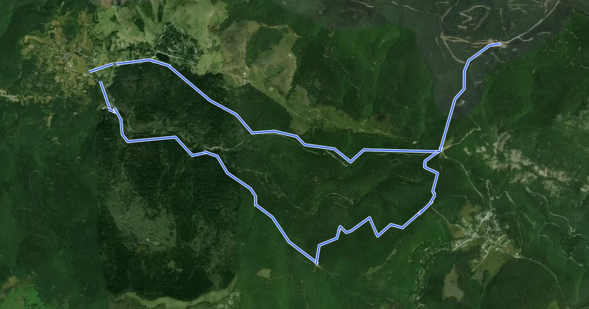 Маршрут Forêt de l'Aigoual на спутниковом снимке