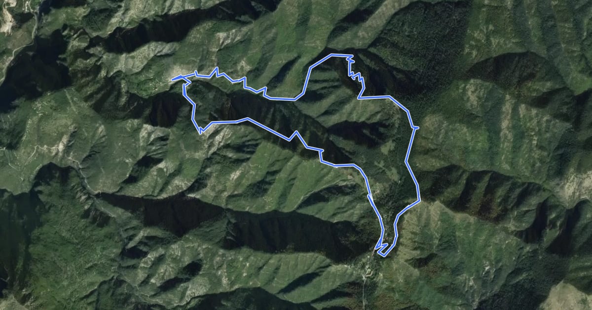 Маршрут Forêt de la Maïris на спутниковом снимке