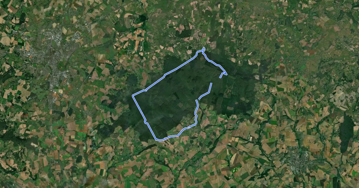 Маршрут Forêt de Perseigne, Belvedère, Vallé d'Enfer et alentours на спутниковом снимке