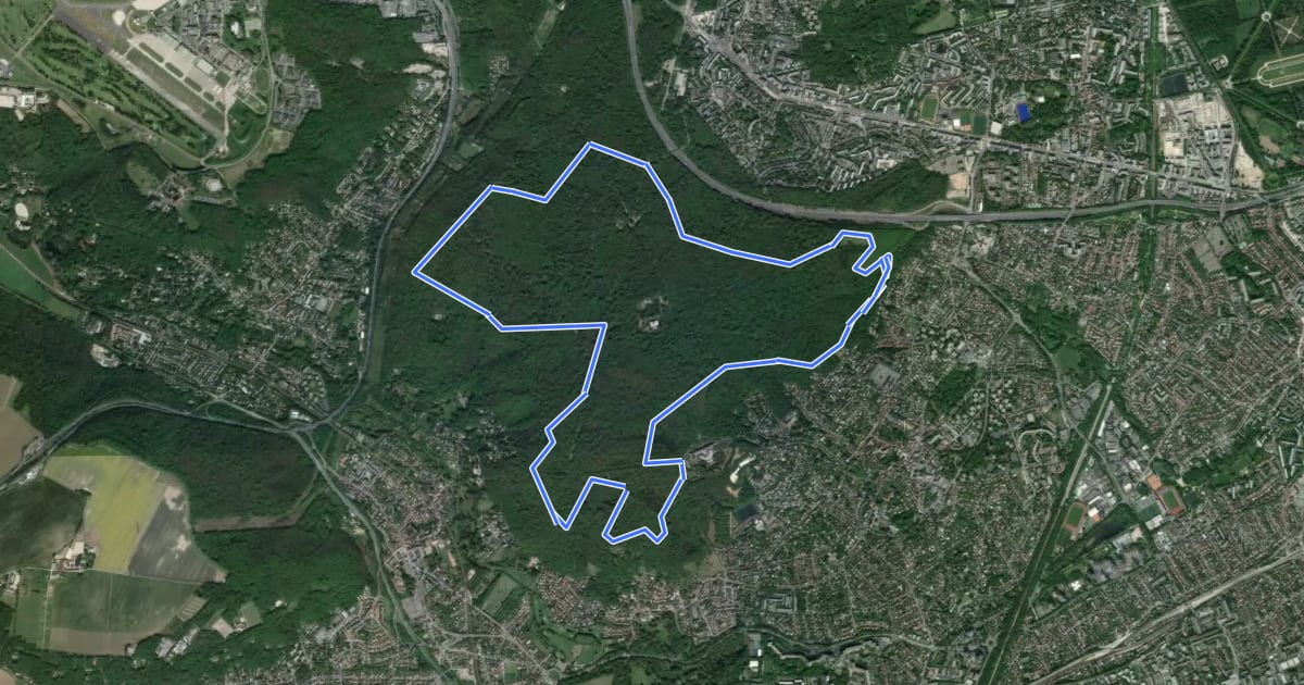Маршрут Forêt de Verrières на спутниковом снимке
