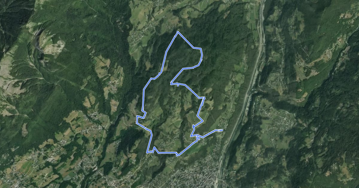 Маршрут Forêt du Tal на спутниковом снимке
