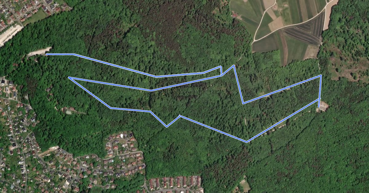 Маршрут Forchheim Walking-Vital Route на спутниковом снимке