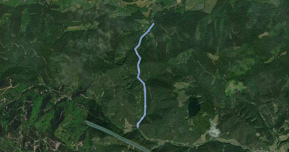 Маршрут Forellenhof Böck (Höfnergraben) - Brunntal - Harras Furth на спутниковом снимке
