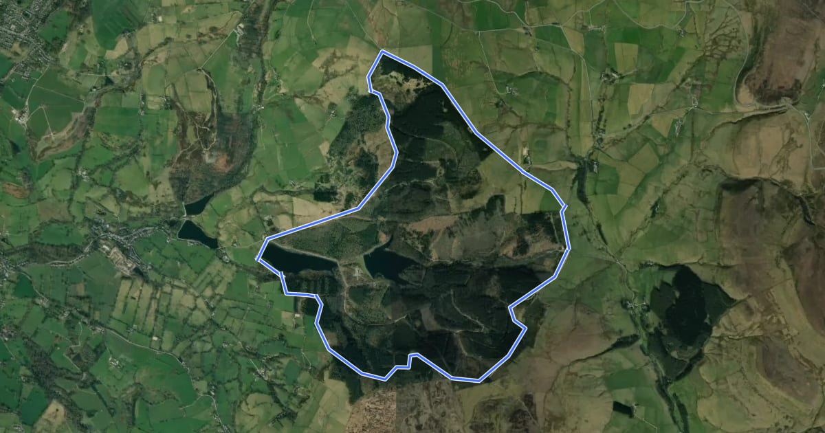 Маршрут Forest Bridleway на спутниковом снимке