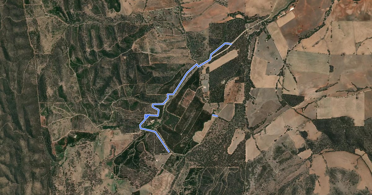 Маршрут Forest Circuit Trail на спутниковом снимке
