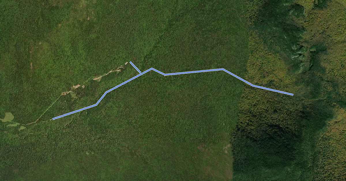 Маршрут Forest City Trail на спутниковом снимке