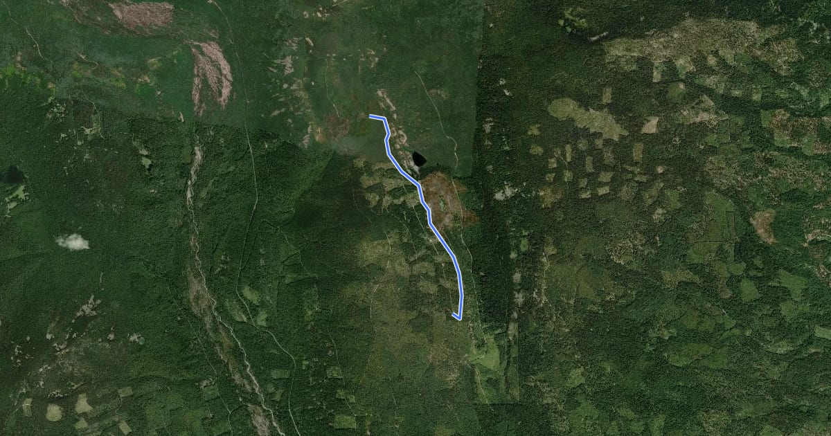Маршрут Forest Creek Trail на спутниковом снимке