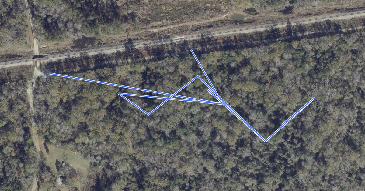 Маршрут Forest Edge Trail на спутниковом снимке