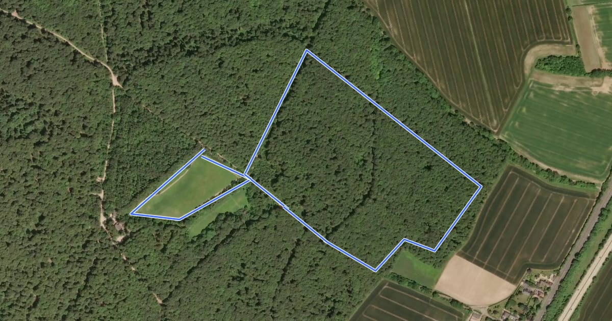 Маршрут Forest Holidays Trim Trail на спутниковом снимке