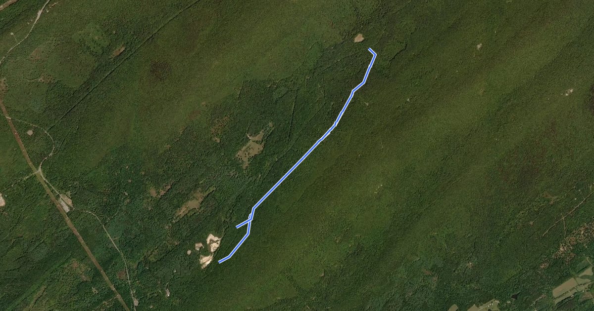 Маршрут Forest Leaves Trail на спутниковом снимке