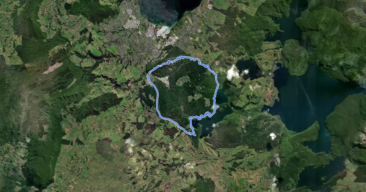 Маршрут Forest Loop на спутниковом снимке