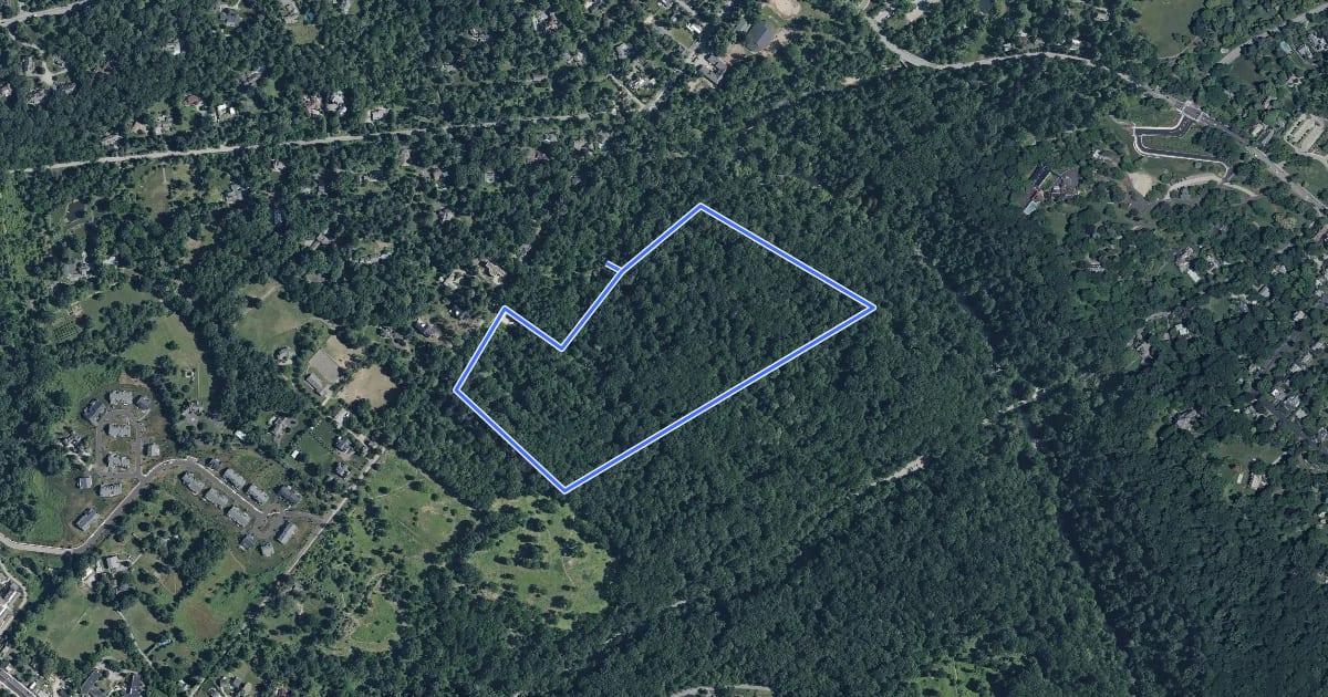 Маршрут Forest Loop на спутниковом снимке