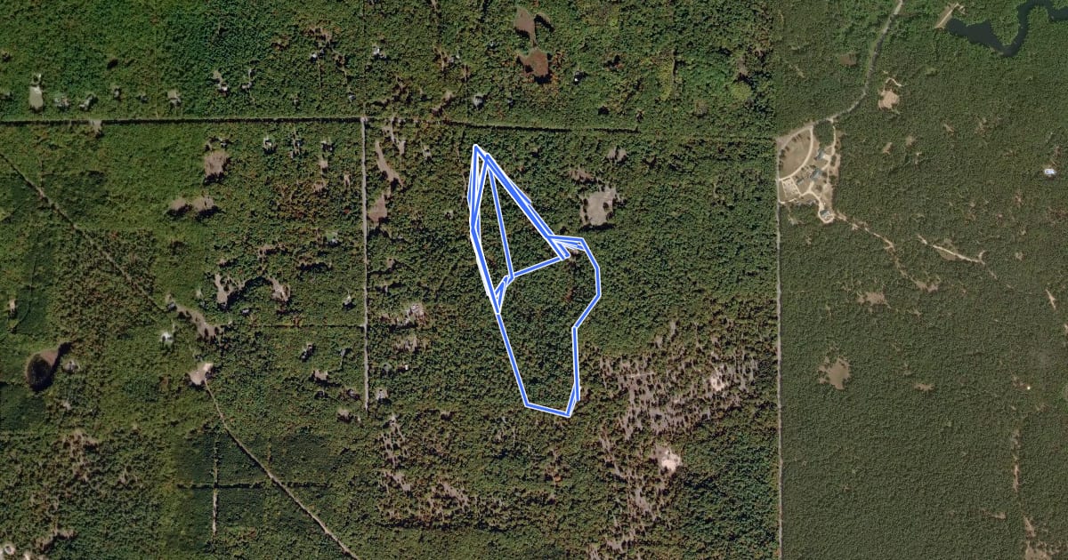 Маршрут Forest Loop Horse Trail на спутниковом снимке