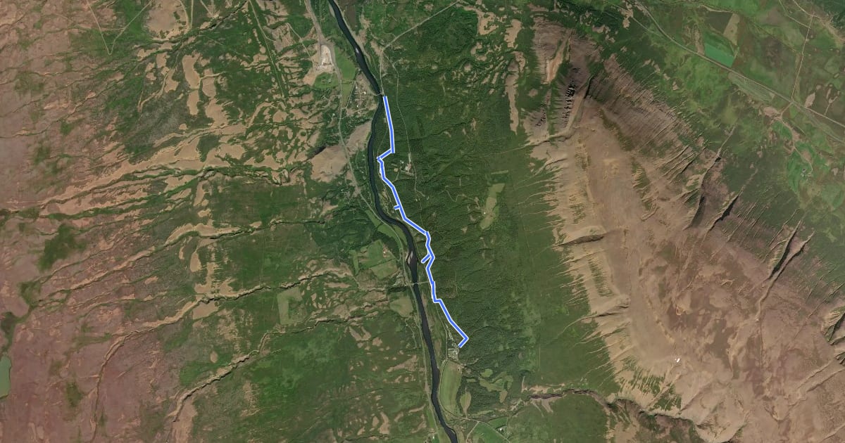 Маршрут Forest path на спутниковом снимке