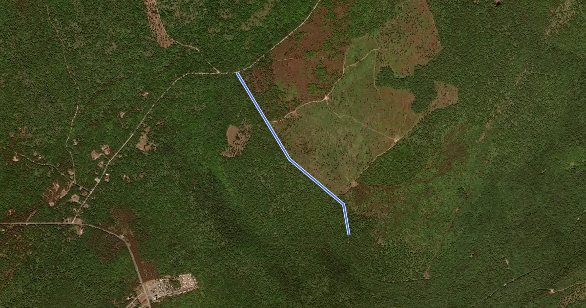 Маршрут Forest Road на спутниковом снимке