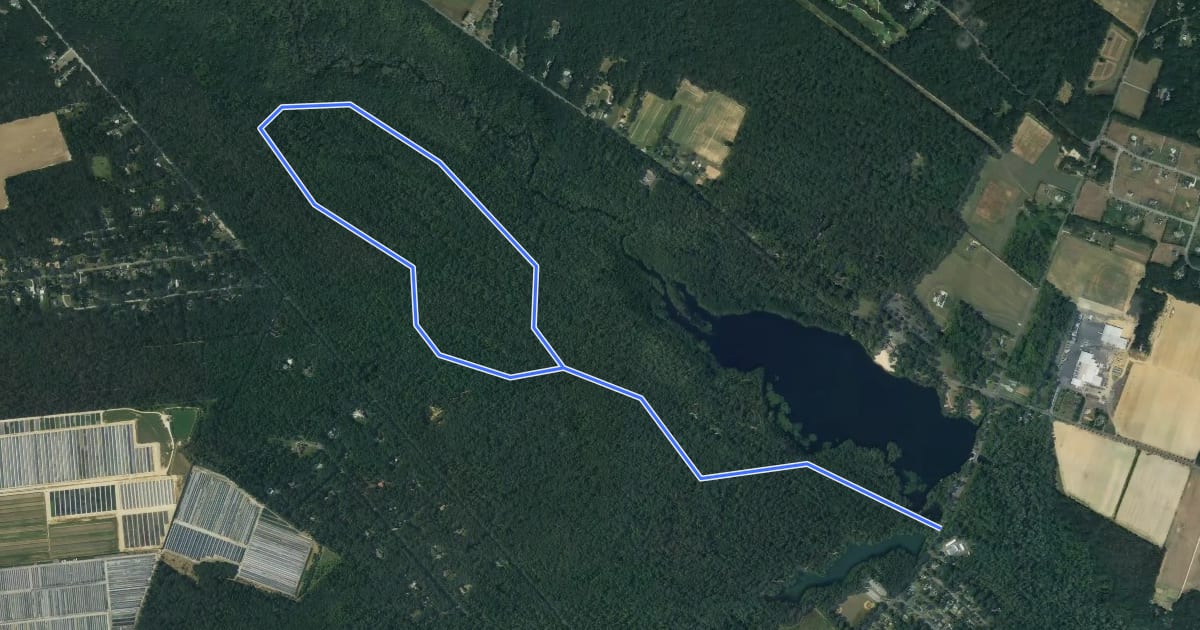 Маршрут Forest Road (Blue) Trail на спутниковом снимке