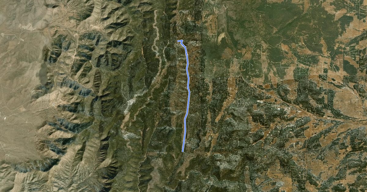 Маршрут Forest Service Road 335 на спутниковом снимке