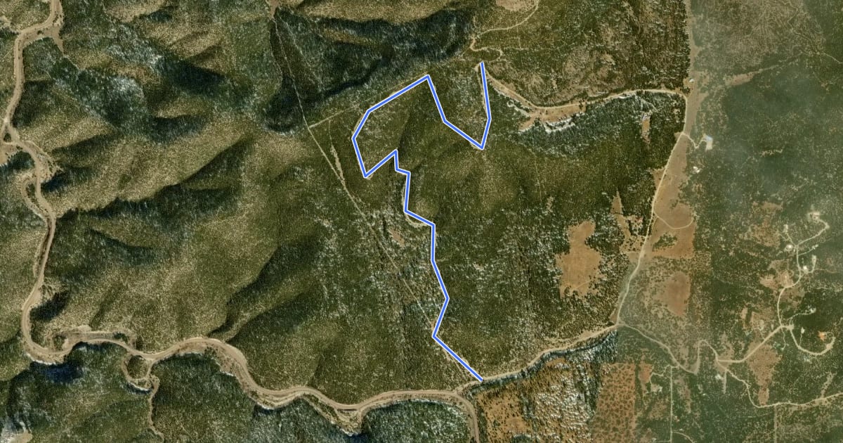 Маршрут Forest Service Road 542 на спутниковом снимке