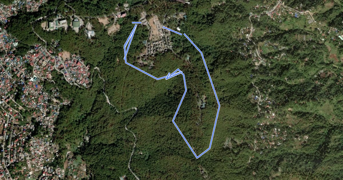 Маршрут Forest Trail на спутниковом снимке