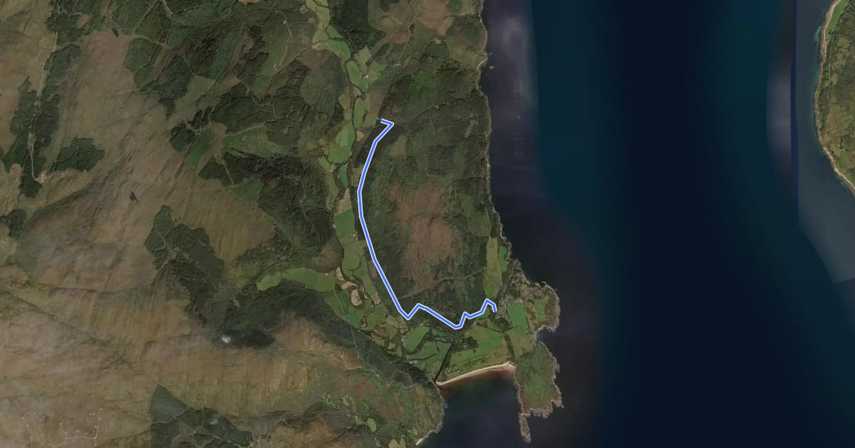 Маршрут Forest Walk на спутниковом снимке