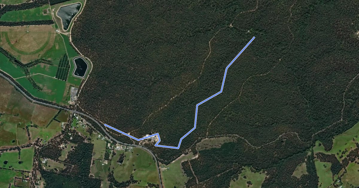 Маршрут Forestech Trail на спутниковом снимке