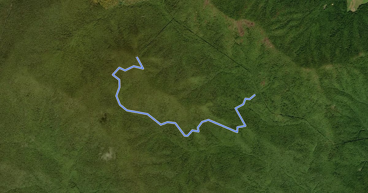 Маршрут Fork Mountain Fire Road на спутниковом снимке