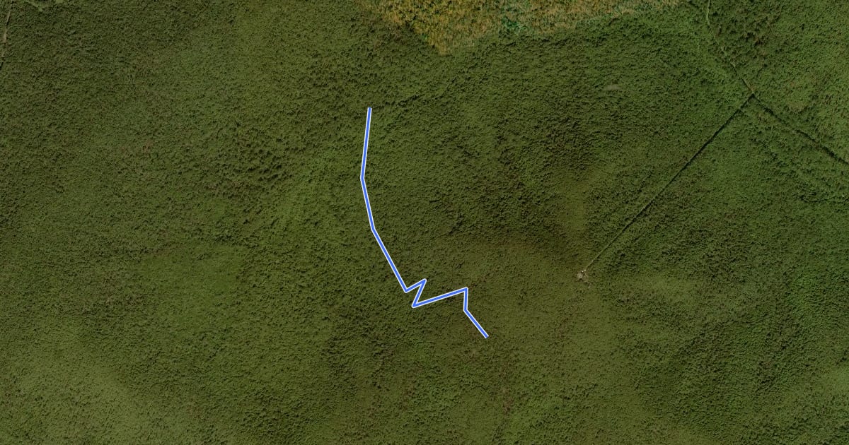 Маршрут Fork Mountain Horse Trail на спутниковом снимке