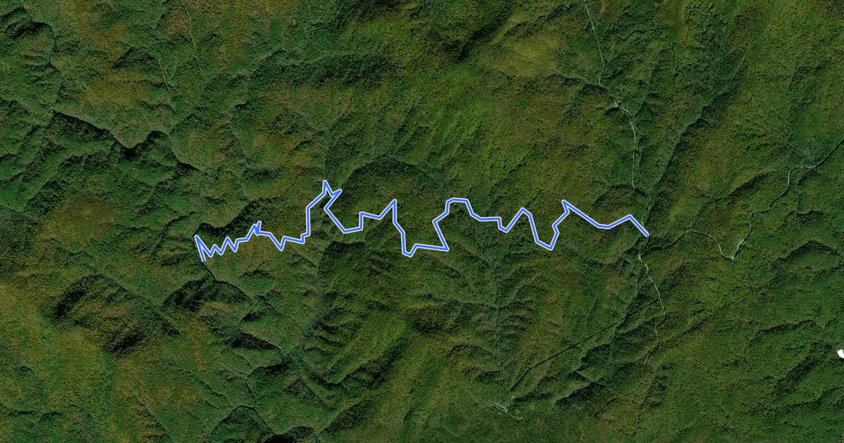 Маршрут Fork Mountain Trail на спутниковом снимке