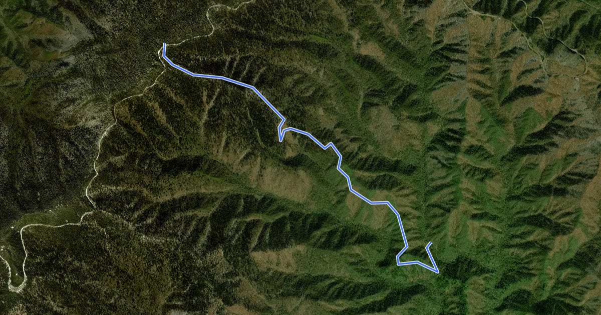 Маршрут Fork Ridge Trail на спутниковом снимке