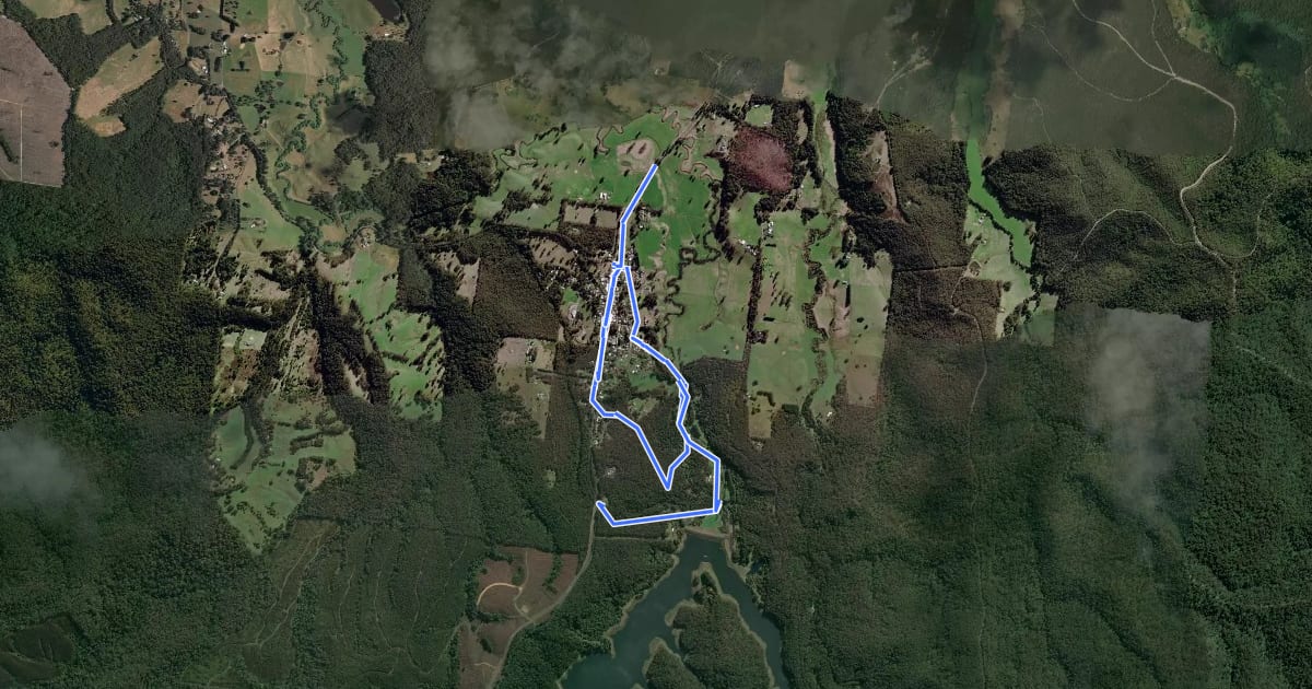 Маршрут Forrest Loop на спутниковом снимке