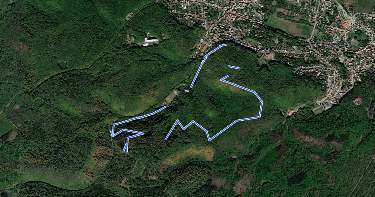 Маршрут Forstbotanischer Wanderweg Gernrode на спутниковом снимке