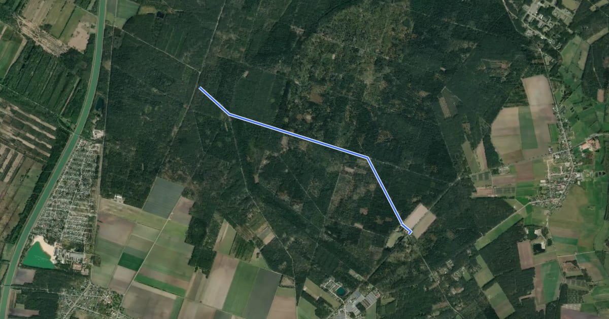 Маршрут Forsthaus Bockling (61) - Forst Bockling Mittelweg Abzweig Schweinehorsterbahn (65) на спутниковом снимке