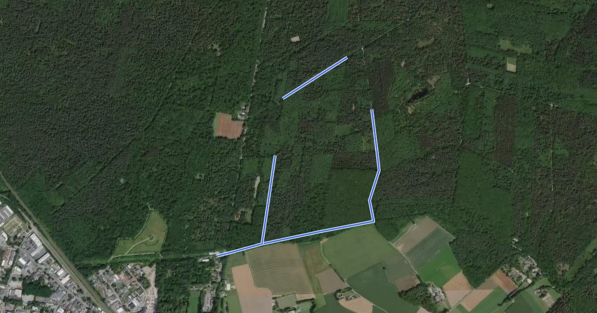 Маршрут Forsthaus Haidberg Rundweg A3 на спутниковом снимке